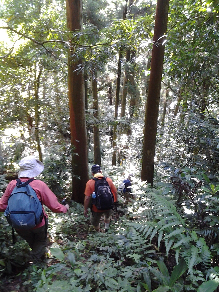 準備原路下山囉！