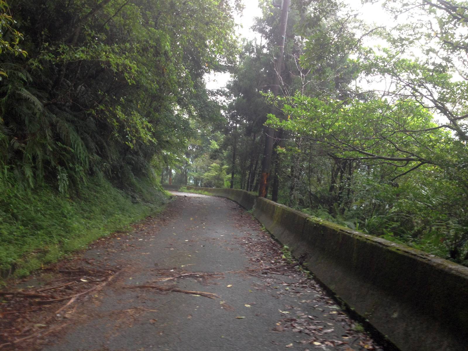 一開始為路況良好的柏油路