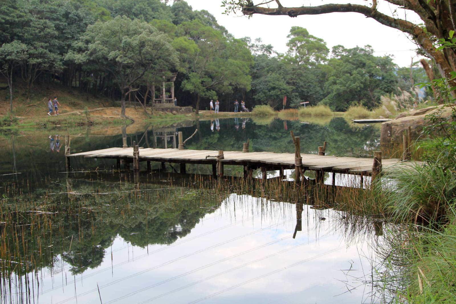 處處美景