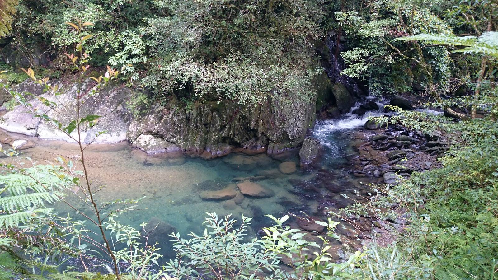 處處美景