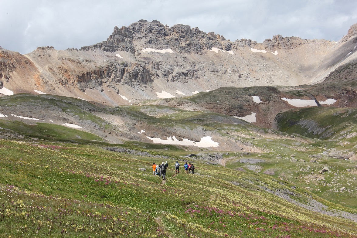 on the way to Columbine Lake - 滿地山花