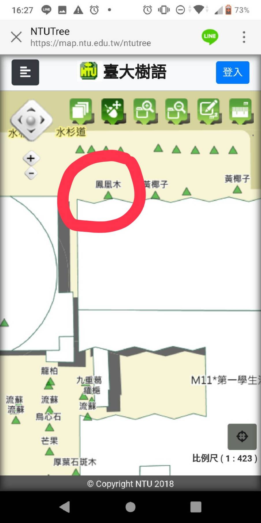 鳳凰木位置圖