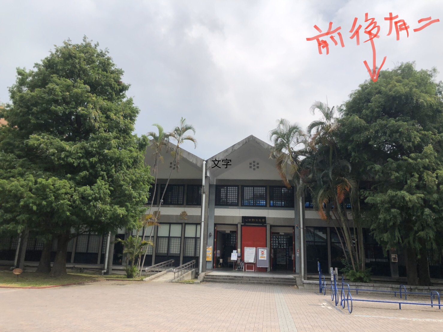 改為活動中心門口落羽松，No. 747