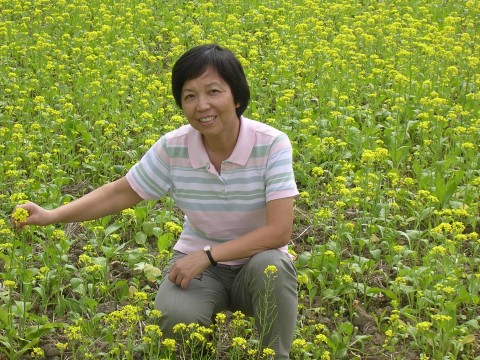 花海中的嘉妮