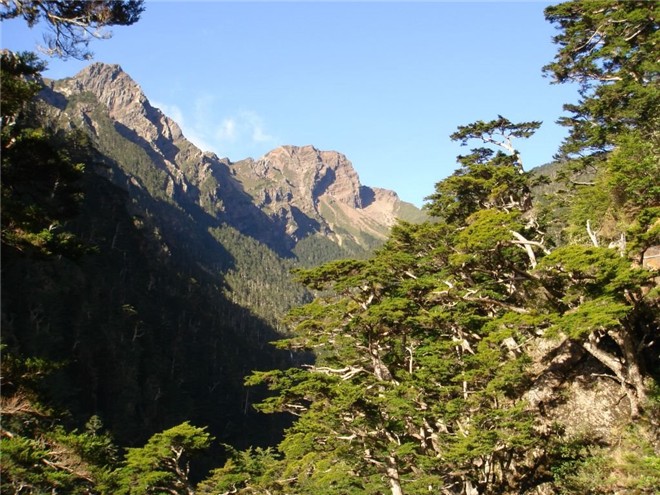 從排雲山莊上來的, 就無緣看到這美景,
一路上壯麗的東峰, 如影隨形陪伴在側,
雲端中雄偉的主峰, 忽隱忽現更增魅力,
從觀高雖然很辛苦, 值不值得因人而異,

對我來說百看不厭, 請你們仔細地欣賞,
不同時候的陽光下, 她們的容貌也不同,