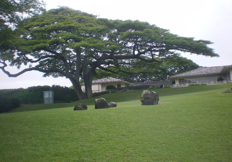 庭園一景