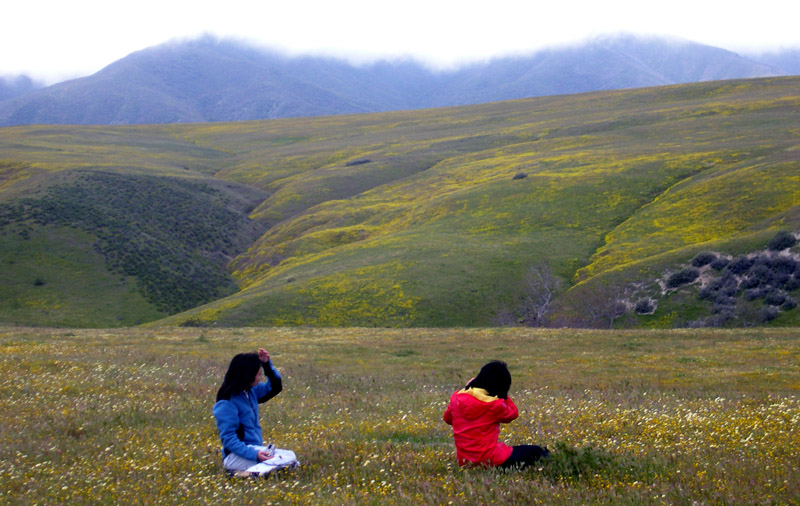 黑楊谷風光如畫 (Cottonwood Canyon)