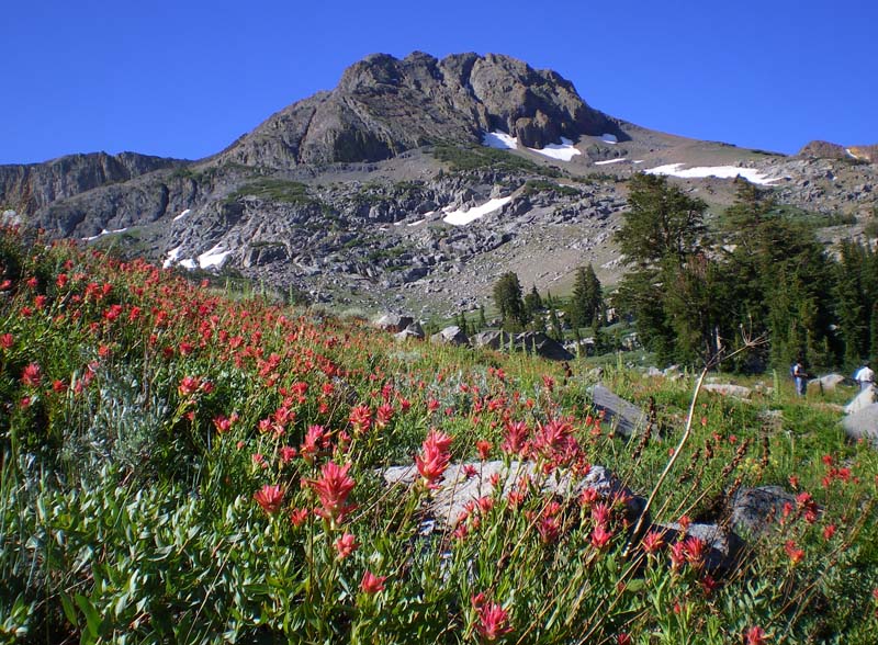 卡森山口附近圓頂山前 (Round Top near Carson Pass)