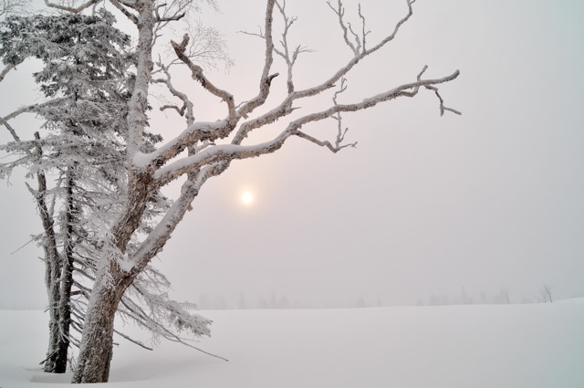 雪鄉