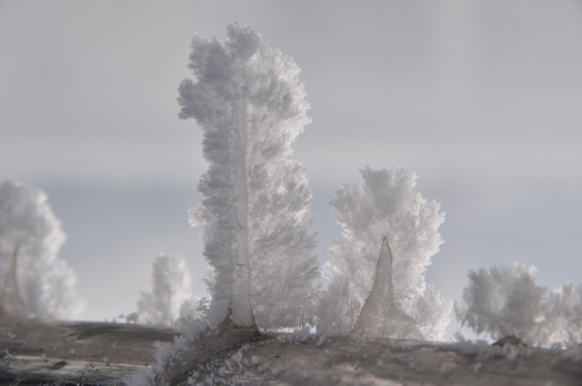 霧凇 (rime)