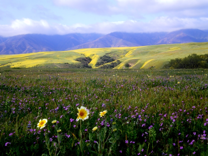 Cottonwood Canyon