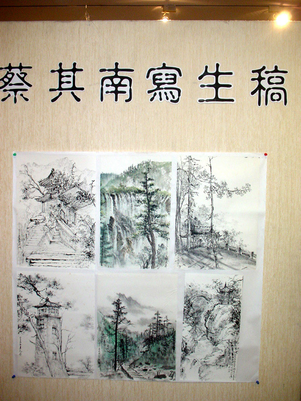 其南姊的國畫寫生稿，令人嘆為觀止