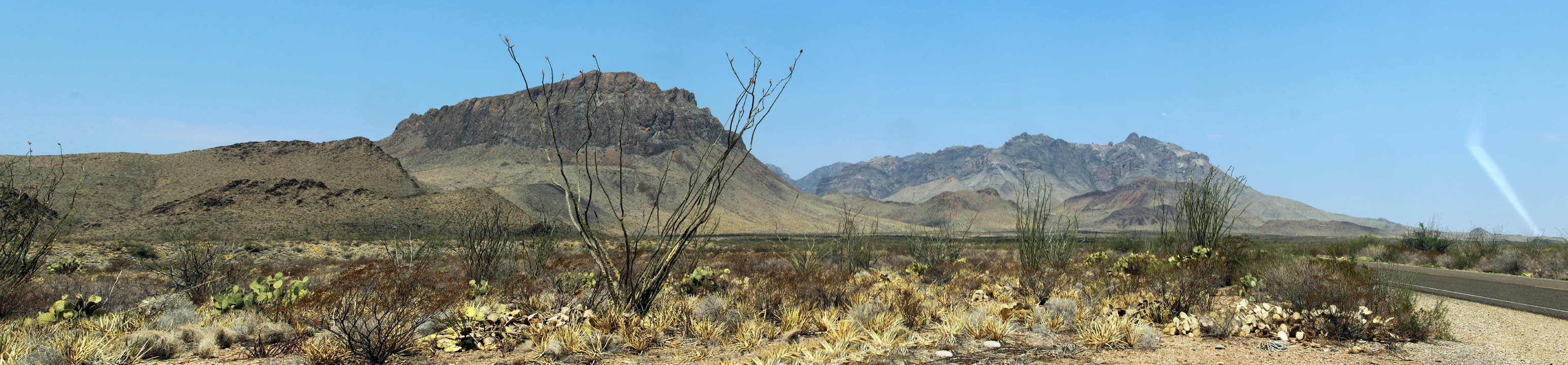 *大灣國家公園的奇索斯山脈。前景的蠟燭木(Ocotillo, 學名Fouquieria splendens)仍有紅花簇在尖端。