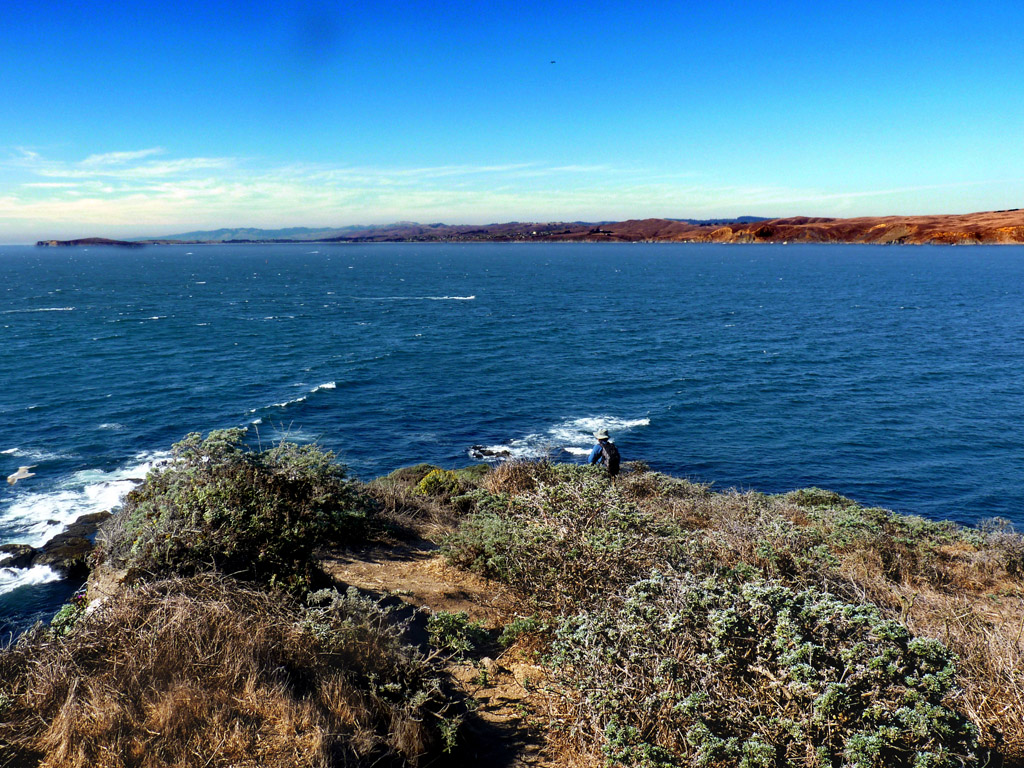 拖馬累死岬最尖端；海平缐左方是薄的家頭(Bodega Head)。
