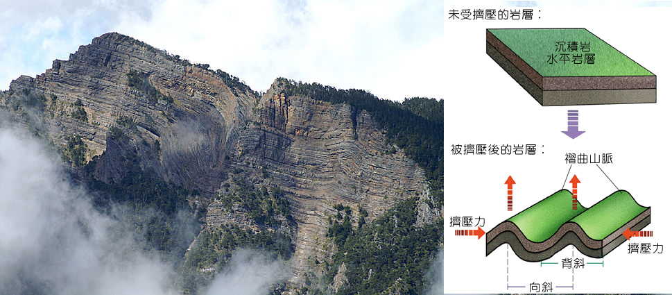 右：高中地理課本圖解褶曲、向斜、背斜的關係；左：品田山有名的背斜岩層。
