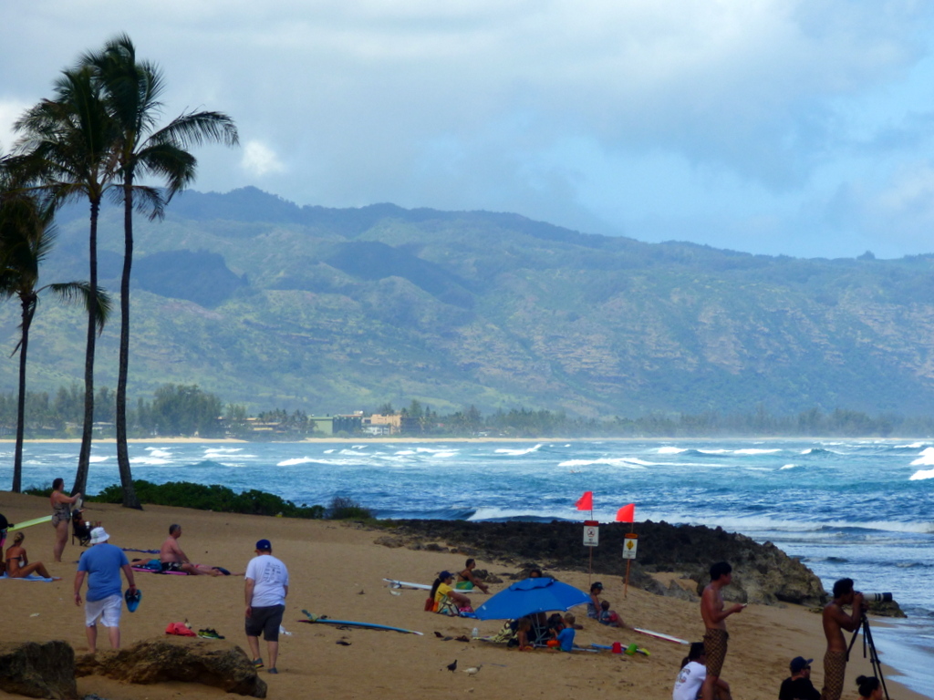 阿麗伊海灘(Ali'i Beach)，三冠王賽之一的夏威夷礁職業賽(Reef Hawaiian Pro)在此舉行。另兩個賽場是日落海灘(Sunset Beach)和萬歲管道(Banzai Pipeline)。