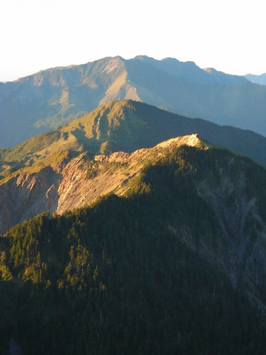本鄉櫧山連馬博
