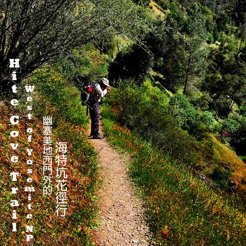在南勢溪旁的海特坑步道上。