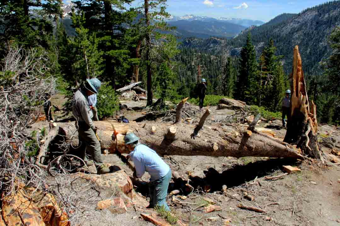擋道的倒木已由數人換班鋸開(荒野區Wilderness Area不能用鏈鋸), 鋸口可見用橘紅色的楔子撐住，一人正在最後鋸斷。英岳站在左邊監督。