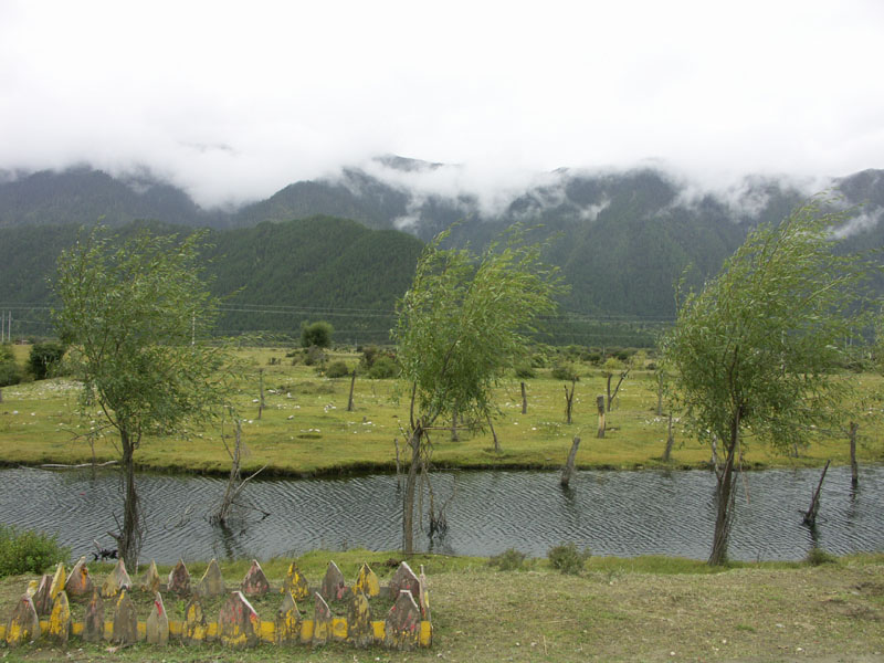 路旁小景