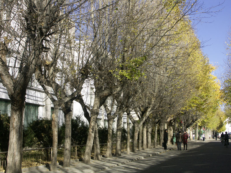 從藏大校園出發