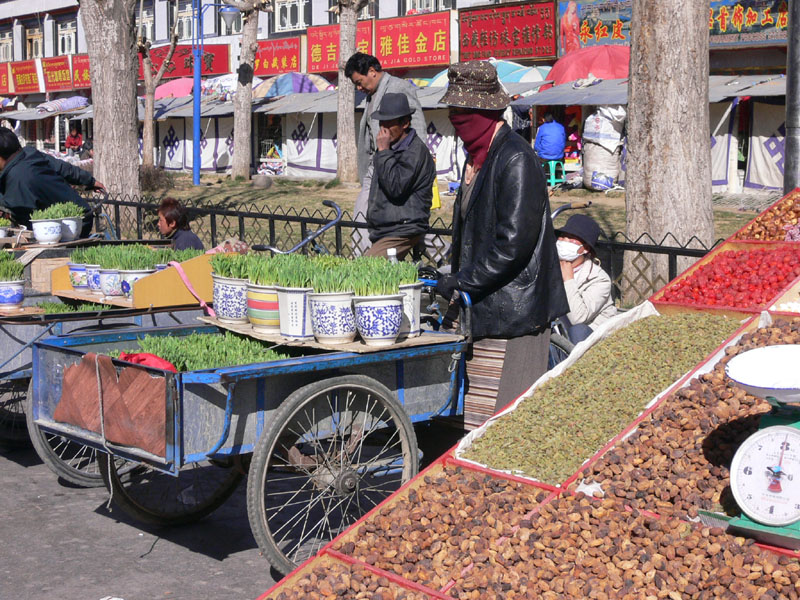 路旁到處是賣應節食品及青稞苗盆栽的小販