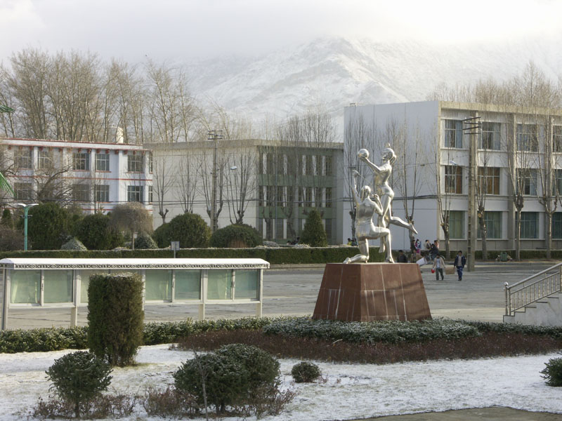 藏大校園雪景之一