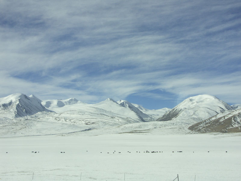 雪原