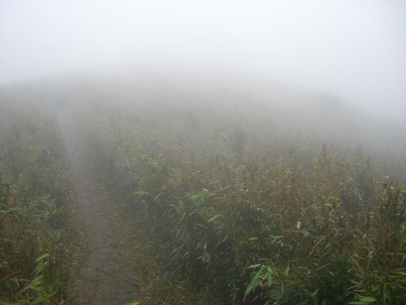 灰濛濛的霧雨中，依稀可以看到小徑。(攝於狂嵐霧雨中)