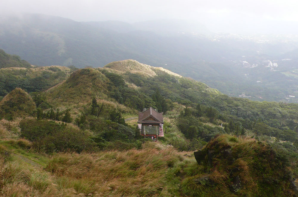 強風陣陣,芒草翻飛