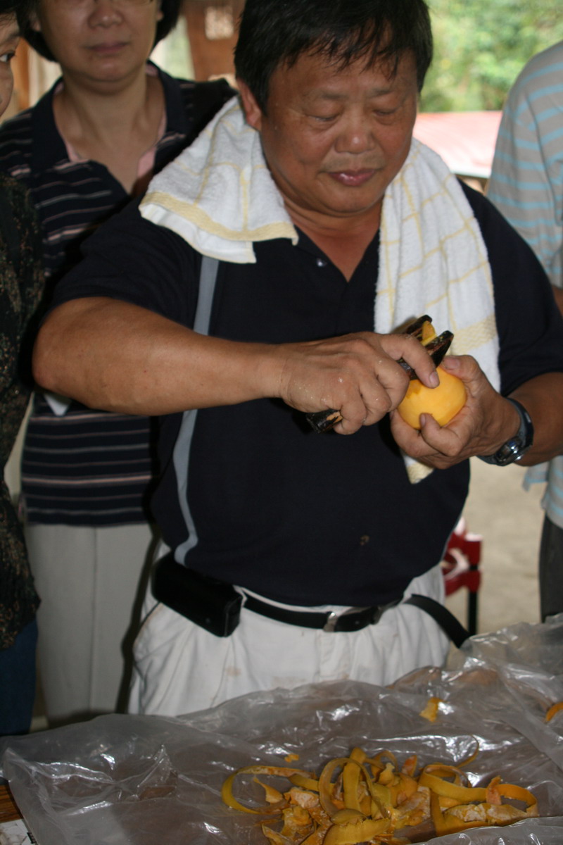 阿廣努力地削柿子，因為蝗蟲太多
