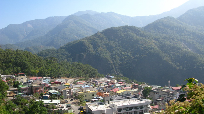 茂林近照