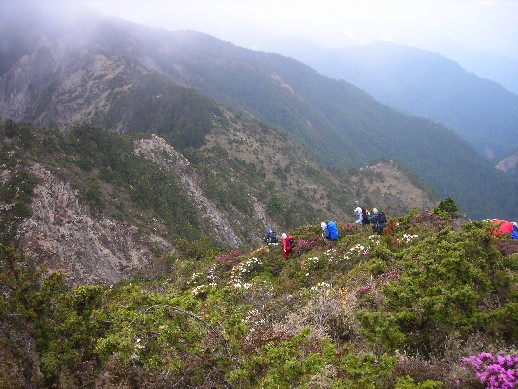 千山萬壑響杜鵑