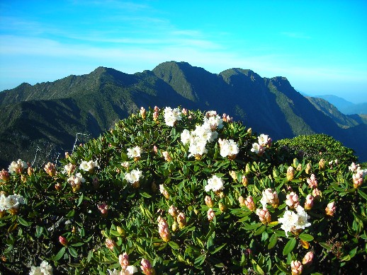 三峰駢立襯秀姑