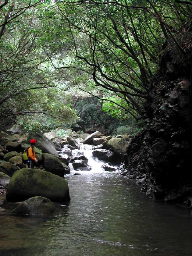 北勢坑溪溪景