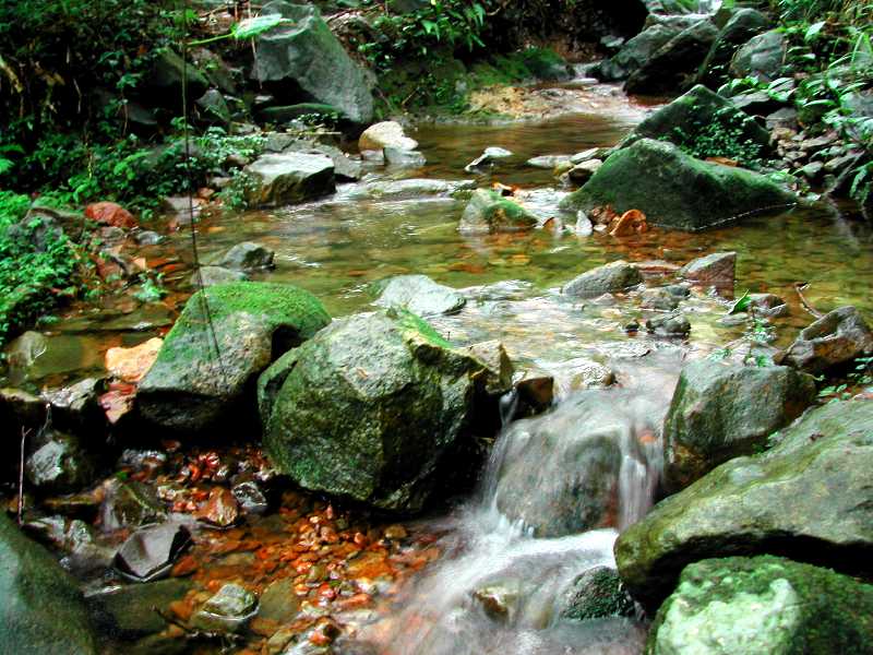 冷擎步道旁的小溪, 離開步道兩步就能取到這樣的景.