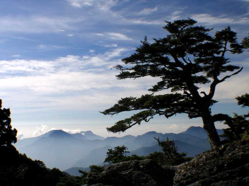 D6_清晨大濁水南溪上源最後大石板上的風景