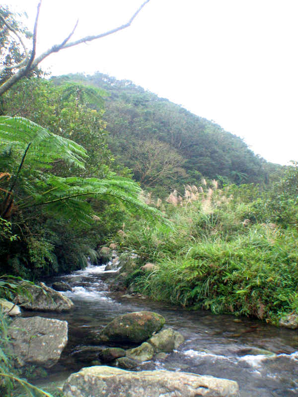剛下到鹿堀坪溪