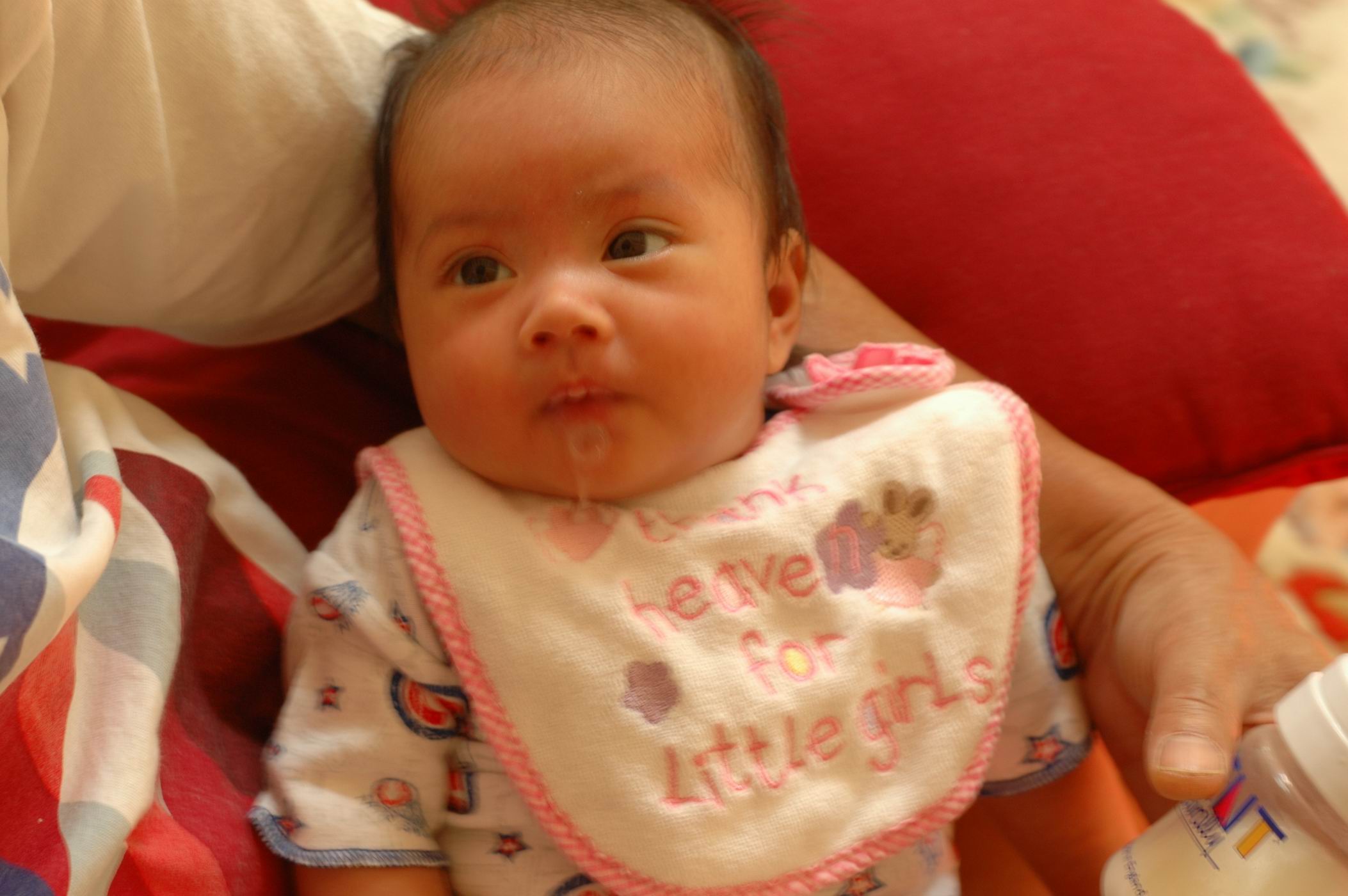 Ellie 七週大。