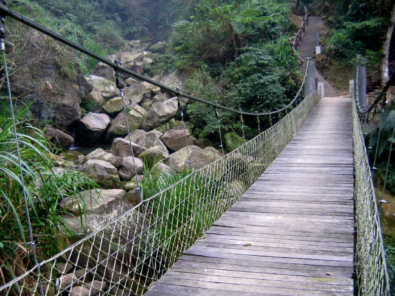 竹坑溪步道從八號吊橋起(往東) 便沿溪而行. 過橋後右邊有往龍宮瀑布的岔路
