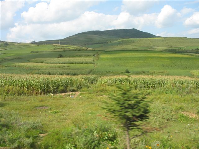 曠野森林良田