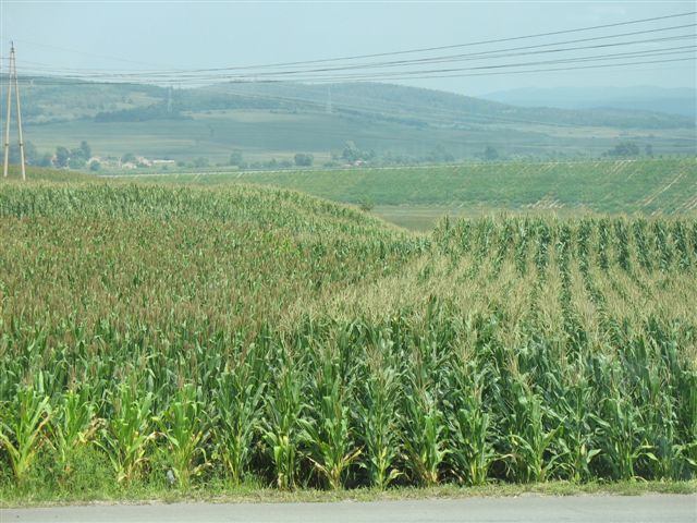 東北富庶糧倉