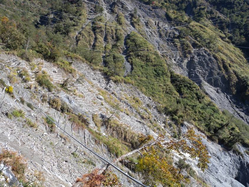 登山口0K-0.8K都是崩塌地，但是已經開出寬3尺的路，不過一旦有機車經過，揚起很多灰塵，走來不太爽快。