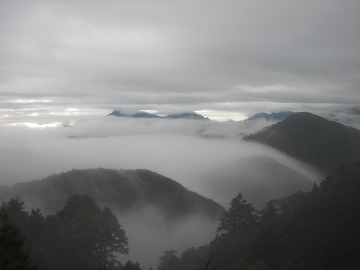 樹杪重泉雲瀑湧