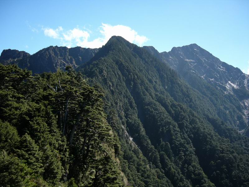 17. 回首漫漫來時路