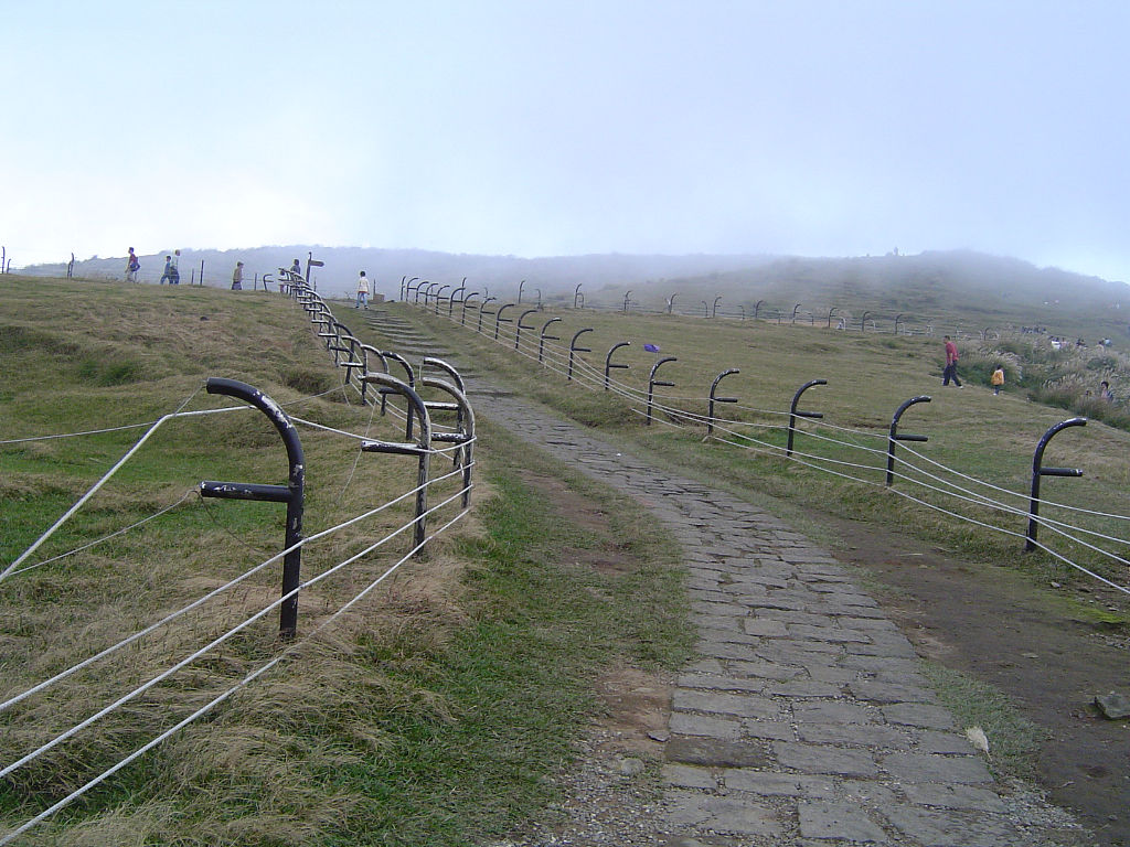 擎天崗到了