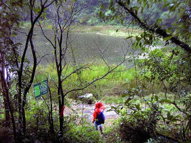 遠看崙埤池