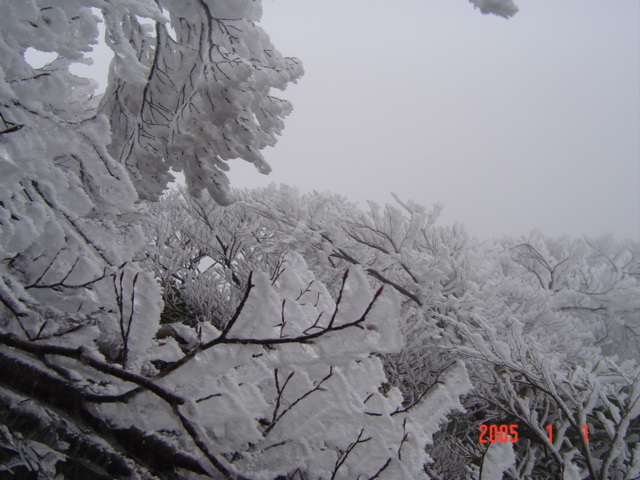 霧淞