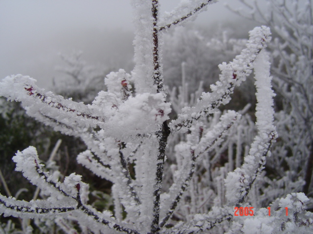 霧淞