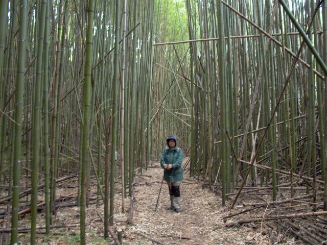 Syakaro 霞喀羅